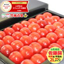【お届け日時指定OK】 さくらんぼ 佐藤...