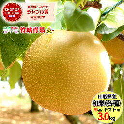 【9月上旬から順次出荷予定】山形県産 和<strong>梨</strong> 3kg(<strong>幸水</strong>or豊水/秀品/6玉〜12玉入り)※日時指定はメールで※【 山形産 豊水 なし ナシ <strong>梨</strong> 和<strong>梨</strong> 御中元 お中元 夏 ギフト 送料無料 暑中見舞い 残暑見舞い プレゼント 果物 フルーツ 人気 産地直送 お取り寄せ 御中元 】