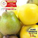 【11月上旬~日時指定OK】冬ギフト 冬の果実2色詰め合わせ 5kg (秀品/11玉~17玉入り/シナノゴールド&ラ・フランス)【山形県産/リンゴ/ラフランス/贈り物/贈答/お祝/お礼/御歳暮/お歳暮ギフト/冬ギフト/果物/フルーツ/送料無料/お取り寄せ】