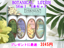 【アイランドソープ】ハワイアン ボタニカル ボディーローションHAWAIIAN BOTANICAL LOTIONサンプルパックIsland Soap & Candle Works【ハワイアン】ハワイアン雑貨【ハワイ Hawaii】【ボディーローション】【ハワイ雑貨】