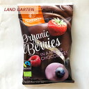 LAND GARTENオーガニック フリーズドライ ベリーチ...