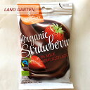 LAND GARTENオーガニック フリーズドライ ストロベ...