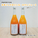 愛媛県産 水本さんのみかん・まどんなジュース 720ml 各1本 合計2本入【送料無料】【国産】