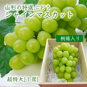 【旬果】山形の特選ぶどうシャインマスカット超特大1房[700...