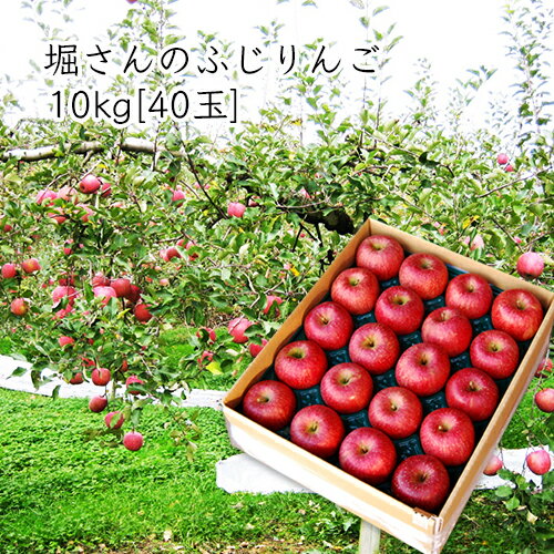 https://thumbnail.image.rakuten.co.jp/@0_mall/umaies/cabinet/a/021-00301sq2019.jpg?_ex=500x500