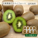 千葉農園のキウイフルーツ(7~10玉)