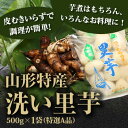 山形特産洗い里芋(特選A品500g×1袋)
