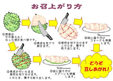 アテモヤ (アフリカン プライド) 約1kg (2〜4個) ×1 期間限定 送料無料 沖縄 土産 沖縄土産 人気 南国フルーツ 希少 果物 逆転発送！シーズンオフ旅 TV話題