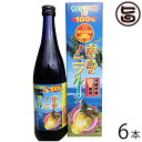 南の島のノニフルーツ 720ml×6本 沖縄 健康管理 ドリンク 南国フルーツ 条件付き送料無料