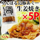 お中元 ギフト やんばる島豚あぐー ≪黒豚≫ 生姜焼き 26...