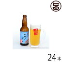 癒しのマリンビール 330ml×24本 沖縄 石垣島 土産 お酒 地ビール 送料無料