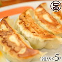 ギフト フレッシュミートがなは 山原豚(琉美豚) 白豚ギョウザ 12個入り×5P 沖縄 土産 アグー 貴重 肉 ビタミンB1 条件付き送料無料