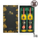 ¥®¥Õ¥È È¢Æþ ìÔ½Ï ²Æì¸©»º¥Þ¥ó¥´¡¼ 50¡ó²Ì½ÁÆþ¤ê°ûÎÁ 500ml¡ß2ËÜ¡ß1È¢ ²Æì ¹ñ»º ¥Õ¥ë¡¼¥Ä ¿Íµ¤ Á÷ÎÁ̵ÎÁ