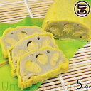 からし蓮根 中 5本 熊本県 九州 名物 人気 定番 条件付き送料無料
