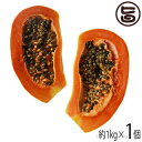 沖縄県産 フルーツパパイヤ 約1kg×1個 条件付き送料無料 沖縄 土産 人気 南国フルーツ