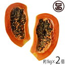 沖縄県産 フルーツパパイヤ 約1kg×2個 条件付き送料無料 沖縄 土産 人気 南国フルーツ