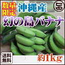 沖縄産 数量限定 幻の島バナナ 約1kg 送料無料 沖縄 フルーツ お土産