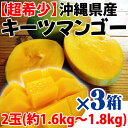 沖縄産 キーツマンゴー 2玉 (約1.6kg - 1.8kg)×3箱 送料無料 沖縄 人気 南国フルーツ 希少