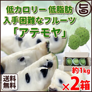 アテモヤ (アフリカン プライド) 約1kg (2〜4個) ×2 期間限定 送料無料 沖縄 土産 沖縄土産 人気 南国フルーツ 希少 果物 逆転発送！シーズンオフ旅 TV話題