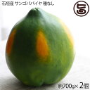 石垣産 サンゴパパイヤ 種なし 約700g×2個 果汁たっぷり 糖度13.8度 香り高く繊細な味わい フルーツ 沖縄 土産 果物 条件付き送料無料