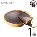 あそりんどう 生チョコタルト 直径約12cm(190g)×1個 熊本 九州 阿蘇 濃厚 ケーキ 人気 復興支援 条件付き送料無料