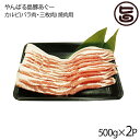 フレッシュミートがなは やんばる島豚あぐー ≪黒豚≫ カルビ(バラ肉・三枚肉) 焼肉用 500g×2P 沖縄 土産 アグー 貴重 肉 条件付き送料無料