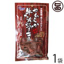 あさひ やわらか牛たんジャーキー 甘辛和風しょう油味 45g×1袋 沖縄黒糖 島唐辛子 沖縄土産 珍味 おすすめ 送料無料