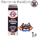 ブルーシール チョコミルク味 18袋入×1P 沖縄物産企業連...