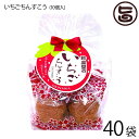 珍品堂 いちごちんすこう 10個入×40袋 沖縄 土産 定番 人気 菓子 国産小麦 イチゴ フリーズドライ入り かわいい 送料無料