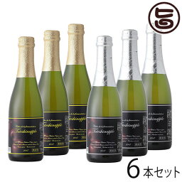 ギフト たてしなップルワイナリー スペシャリテ <strong>シードル</strong> 375ml 6本セット <strong>長野</strong> 土産 ワイン フルーツワイン 果実酒