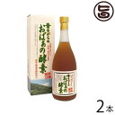 【5/12 20時?マラソン限定SALE】500円OFFクーポン対象 昔ながらのおばぁの酵素 720ml×2本 送料無料 沖縄 希少 健康管理 珍しい 土産
