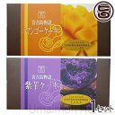 宮古島物語 ケーキセット マンゴー & 紫芋 送料無料 沖縄 フルーツ 南国 野菜 お土産 手土産 人気 焼き菓子 パウンドケーキ