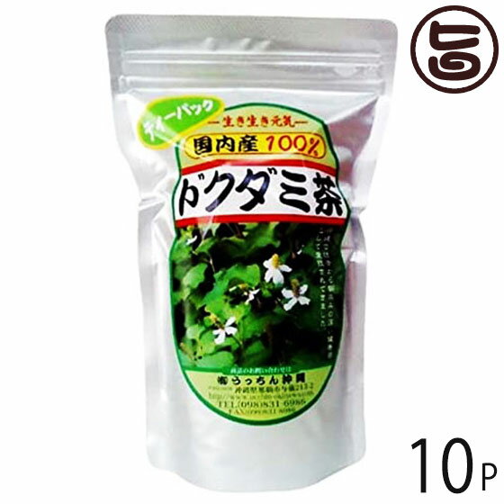 うっちん茶 ドクダミ茶 ティーパック 3g×20包×10P 沖縄 人気 定番 土産 健康茶 女性におすすめのハーブティー
