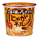 ポッカサッポロ じゃがネル コロッケ味カップ32.1g×2ケース(全12本)