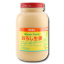 【送料無料】ユウキ おろし生姜900g×1ケース(全12本)