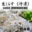 生しらす 500g(冷凍)CAS冷凍【静岡県御前崎近海産】刺身用【冷凍便】さしみ 刺し身 盛り合わせ 魚 鮮魚 2,180円