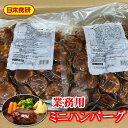 やわらか ミニハンバーグ (デミ)【業務用】6袋(1袋約870g)【1袋・ハンバーグ約19g×30ヶ・デミグラスソース約300g】温めるだけの簡単調理【冷凍便】