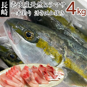 【K】壱岐産天然ヒラマサ【4kg】ブリ御三家　夏のひらまさ　最高級青背魚　平政　関西呼び名はヒラス　送料込