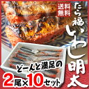 送料無料 博多名物 いわし明太2尾×10セット 敬老の日 ギフト プレゼント 2017 鰯明太 イワシ明太 真いわし使用 福岡