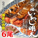 同梱お試し価格! 博多名物 いわし明太 2尾×3パック 【明太子と同時注文で送料無料】 お中元 ギフト プレゼント 2017 鰯明太 イワシ明太 真いわし使用 福岡