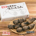 岩国れんこん 送料無料 堆肥栽培 特別栽培 3kg 山口県産岩国特産品蓮根 お歳暮 ギフト【当店オススメ】北海道・沖縄は送料別途