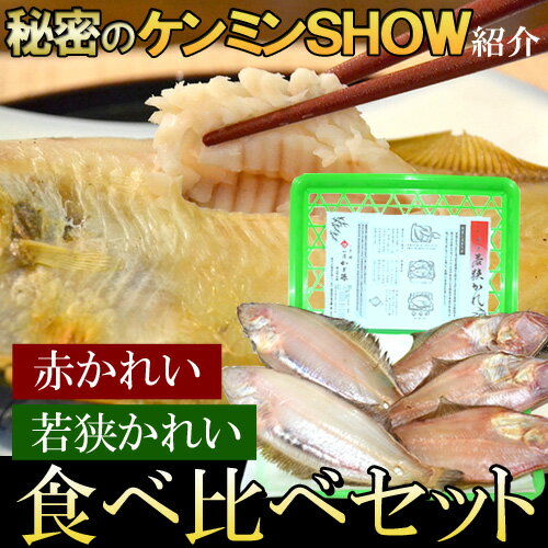 津田孫兵衛 秘密のケンミンSHOW 若狭かれと赤かれ食べ比べ特別福袋セット【S6_gu】