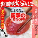 夏は梅干!超目玉クーポンで衝撃の15%OFF!【送料無料】【しそ漬け 梅干し 紀州南高