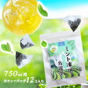 スペアミントティー ミント烏龍茶ティーバッグ~白南風~(水出しボトル/ティーポット用 750ml)ホットもOK 12コ入り
