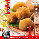 【梅干し】紀州南高梅 つぶれ梅 1kg やや小粒(L玉)はちみつ漬け(塩分約8%)こわれ【訳あり】【送料無料】【梅干し】