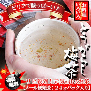 ピリ辛で酸っぱ〜い！とうがらし梅茶 （24パック入り）カプサイシンたっぷりの梅昆布茶[送料無料][唐辛子梅茶][お中元]【SBZcou1208】