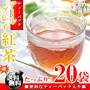 香り絶品♪ アールグレイ紅茶 ティーバッグ 40袋（20袋×2個）【送料無料】【アールグレイ】【紅茶】※代金引換不可 F