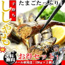 おせち料理 の一品にもお薦め♪子持ち ししゃも 佃