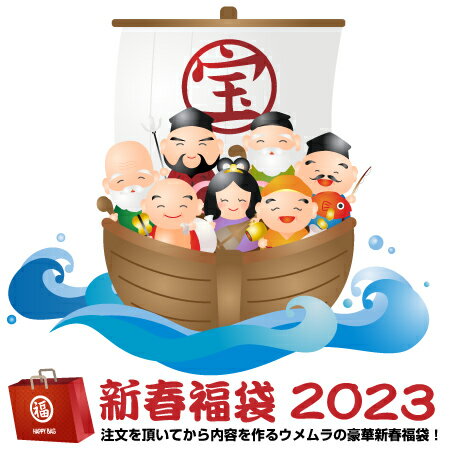 2023年 新春 ワイン福袋(さ) 6本