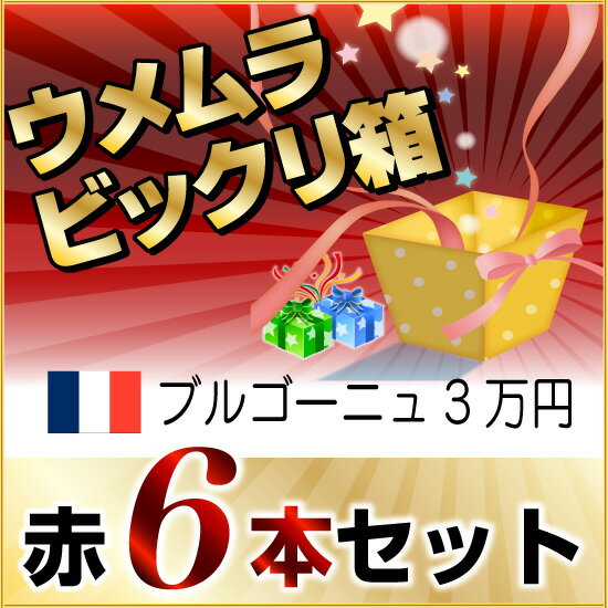 2016年秋 びっくり箱B(ブルゴーニュ赤6本)(3万円) 2016年秋 びっくり箱B(ブルゴーニュ赤6本)(3万円)